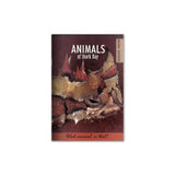 Animals of Shark Bay cover