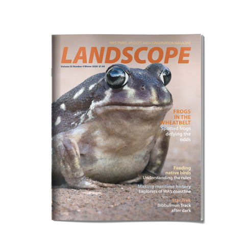LANDSCOPE Vol 35/No 4 Winter 2020