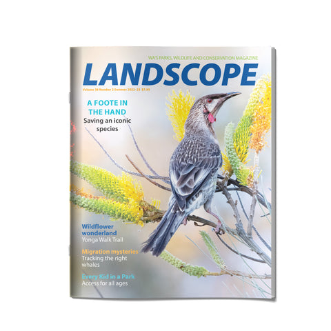 LANDSCOPE Vol 38/No 2 Summer 2022/23