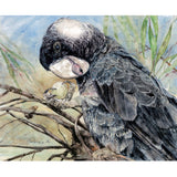 Carnaby's cockatoo print