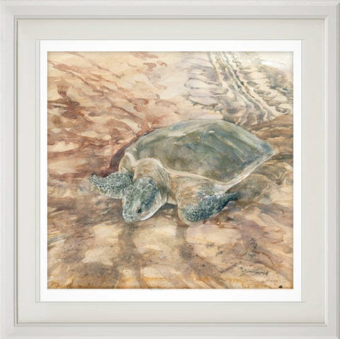 Flatback turtle print