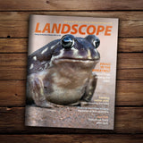 LANDSCOPE Volume 35 Number 4 Winter 2020 cover