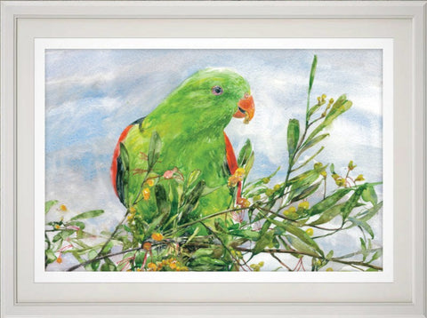 Red-winged parrot print