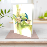 Purple-crowned fairy-wren greeting card front