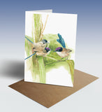 Purple-crowned fairy-wren greeting card