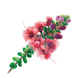 Scarlet feather flower print