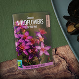 Wildflowers of the Mid-west