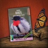 Birds in the South-West Forests