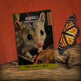 Mammals of North-Western Australia