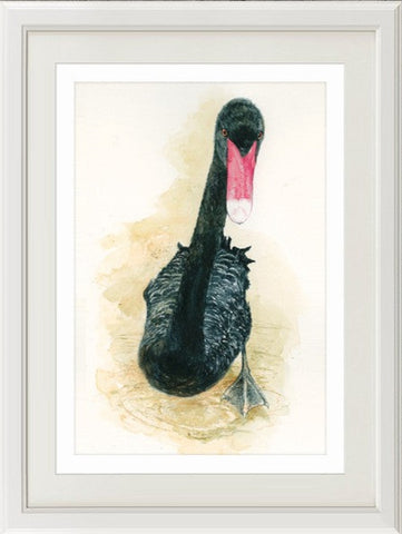 Black swan print