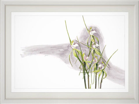 Quindanning spider orchid print