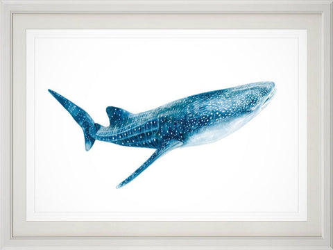 Whale shark print