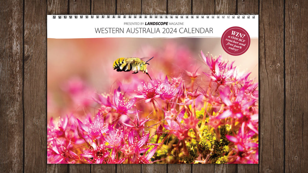 Western Australia 2024 calendar competition