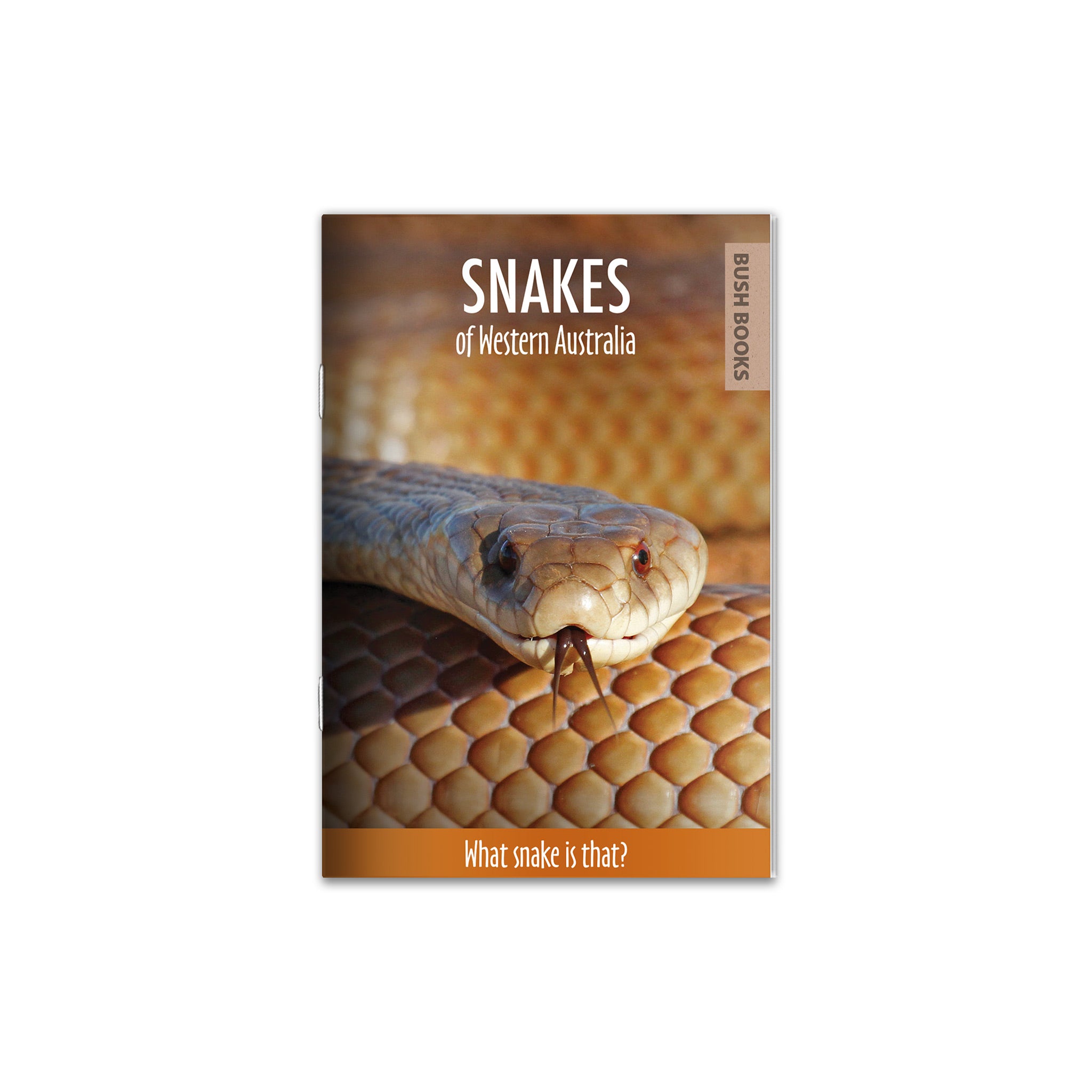 Snakes of Western Australia – WA Naturally