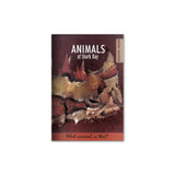 Animals of Shark Bay cover