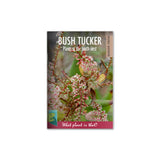 Bush Tucker Plants of the South-West cover