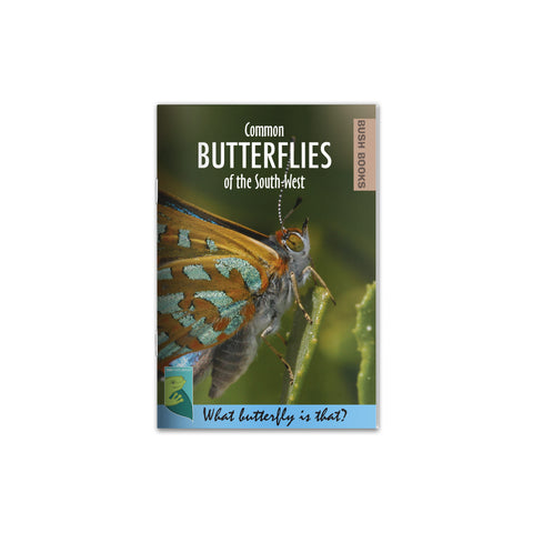 Butterflies of the South-West cover