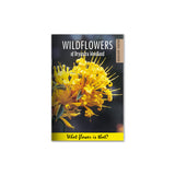Wildflowers of Dryandra Woodland cover