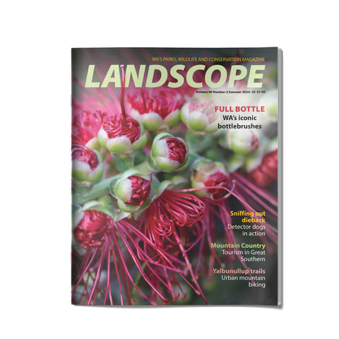 LANDSCOPE-Cover Volume 40 Number 2 Summer 2024-25