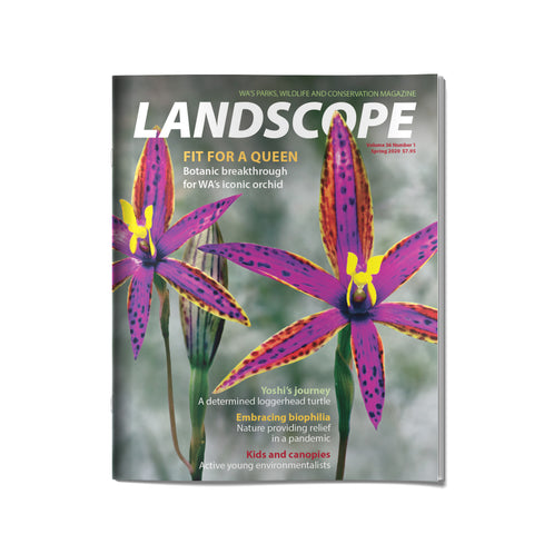LANDSCOPE Vol 36/No 1 Spring 2020