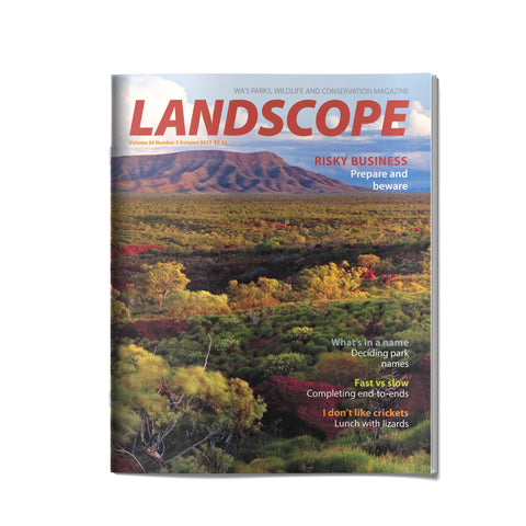 LANDSCOPE Vol 36/No 3 Autumn 2021