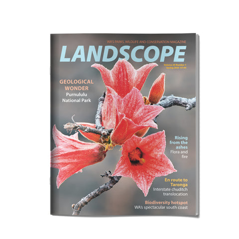 LANDSCOPE Vol 39/No 1 Spring 2023