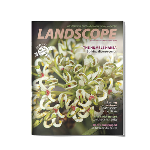 LANDSCOPE Vol 40/No 4 Winter 2025