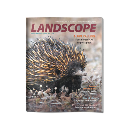LANDSCOPE Vol 39 Number 3 Autumn 2024 Front Cover