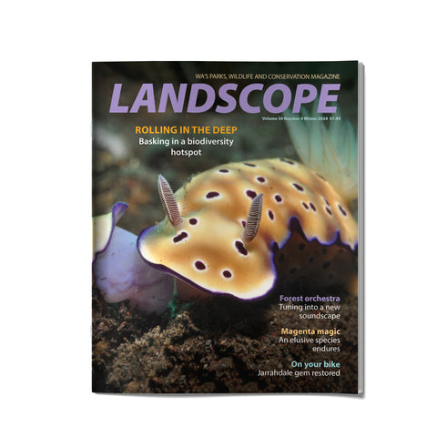 LANDSCOPE Vol 39/No 4 Winter 2024