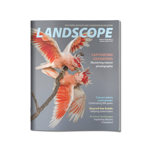 LANDSCOPE Vol 40/No 3 Autumn 2025 Front Cover