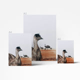 Emu print sample sizes