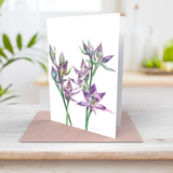 Granite sun orchid greeting card front