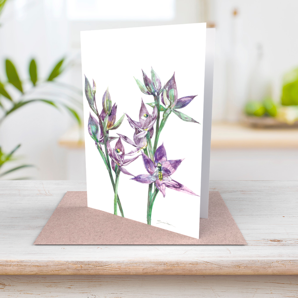 Granite sun orchid greeting card – WA Naturally