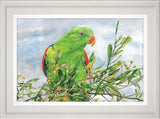 Red-winged parrot print