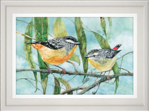 Spotted pardalotes print