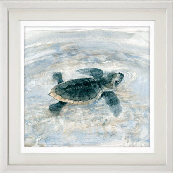 Loggerhead turtle print – WA Naturally