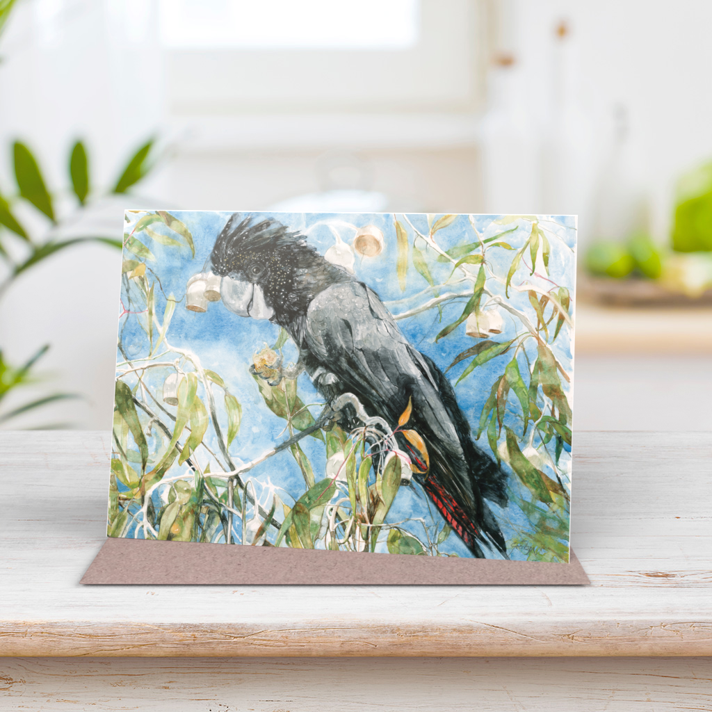 Red Tailed Black Cockatoo Greeting Card Wa Naturally