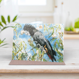 Red-tailed black cockatoo greeting card front