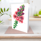 Scarlet featherflower greeting card front