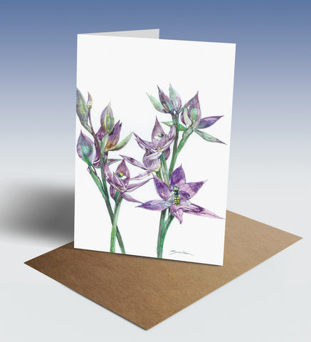 Granite sun orchid greeting card