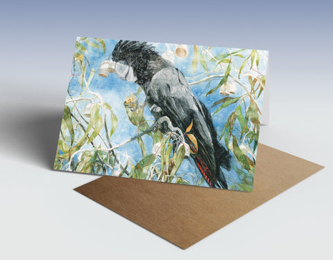Red-tailed black cockatoo greeting card