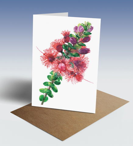 Scarlet featherflower greeting card