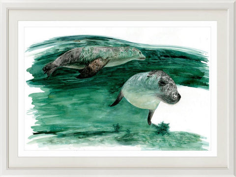Australian sea lion print