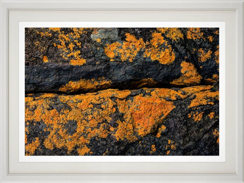 Lichen-stained rocks print