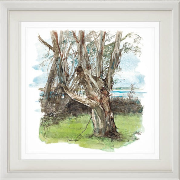 Freshwater paperbark print β WA Naturally
