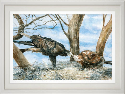 Wedge-tailed eagles print