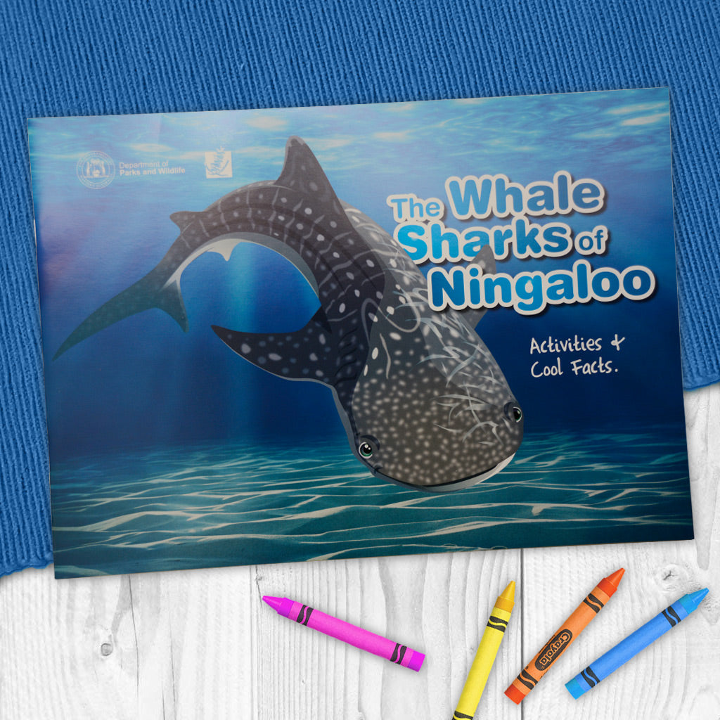The Whale Sharks Of Ningaloo Activity