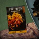 Wildflowers of Dryandra Woodland